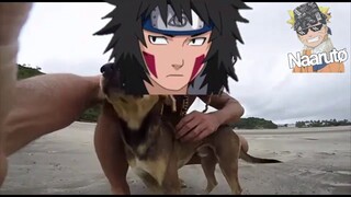 Quando Kiba Conheceu Akamaru