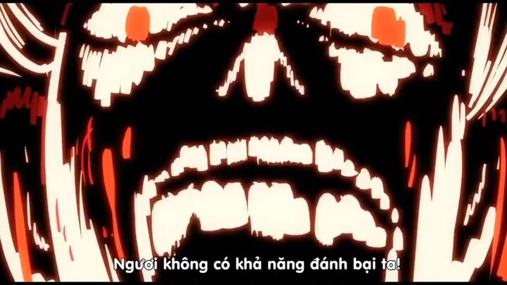 zoro vs king