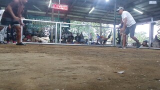 Aaron backyard champion 2hits ulutan