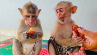 Happy girls Toto & Yaya enjoys eating banana sweets together