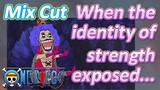 [ONE PIECE]   Mix Cut |  When the identity of strength exposed...