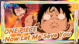 [ONE PIECE] "You Always Came To Save Me Before, Now Let Me Save You!"_1
