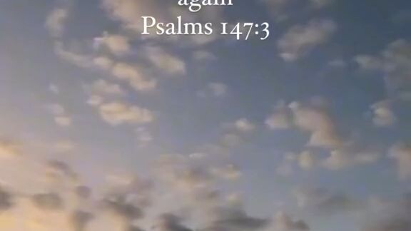 TRUST GOD