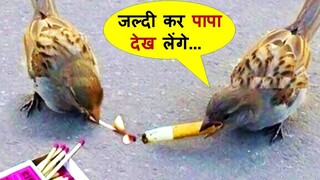 इन जानवरों की हरकते देखकर आपके भी तोते उड़ जायेंगे | Most Viral & Funny Animal Videos Caught part-92