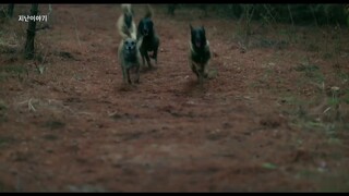 Ngày Tuyệt Vời Để Trở Thành Cún EP 14 [Sub Việt]