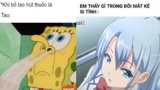 Ảnh chế MEME hài hước #159 ( có nhiều link hay)