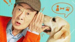 Dog Now Everyting Episode 4 Sub Indo