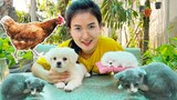 Cây chổi thần kỳ biến ra con mèo, con gà, con chó - giúp Changcady tìm lại chó con Part 51