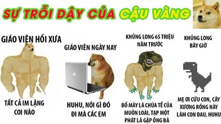 Ảnh chế và meme hài hước Sự Trỗi Dậy Của Cậu Vàng