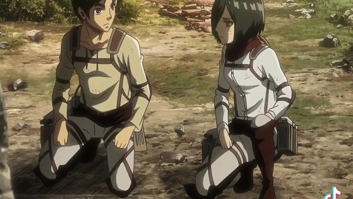 if only Mikasa take the chance😔