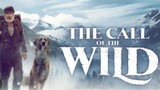 The Call of The Wild (2020)