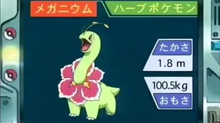 オーキド博士のポケモン講座(メガニウム)