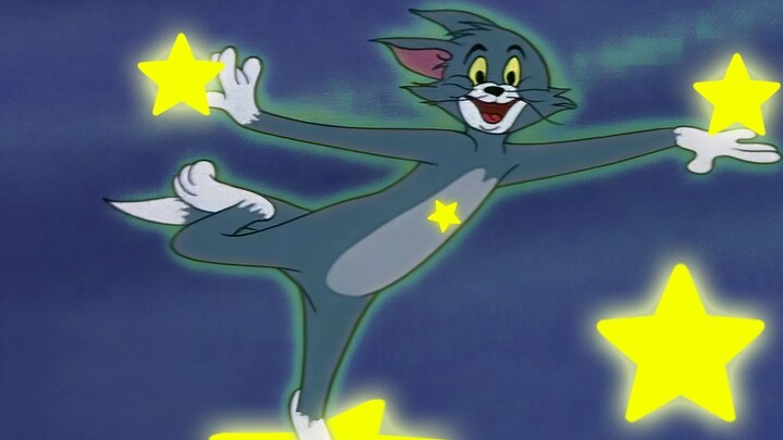 happy star cat