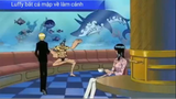 Luffy bắt cá mập về làm cảnh #anime #onepiece
