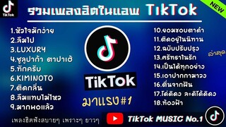 รวมเพลงฮิตในTikTokล่าสุด รวมเพลงฮิตในแอพติ๊กต๊อกล่าสุด - แล้วไงๆต้องมานั้งล้างท่