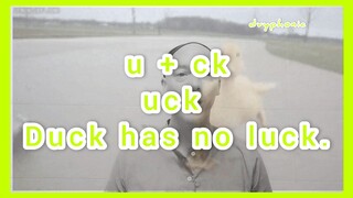 Letter 'U' Series. U + CK. UCK. Duck has no luck.     Alphabet / ABC / Phonics