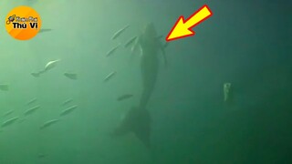 🔥 7 Video Chứng Minh Người Cá Đang Tồn Tại Âm Thầm Dưới Đáy Đại Dương | Khám Phá Thú Vị