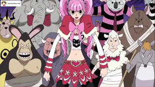 Chuyện gì khó có Ussop lo... #onepiece #vuahaitac #shooltime