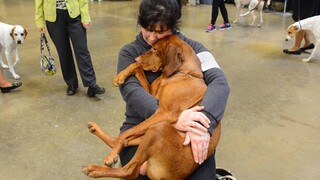 ยินดีต้อนรับสู่บ้าน - Happy DOGS MEET OWNERS หลังจาก LONG TIME