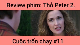 Review phim: Thỏ Peter Cuộc Trốn Chạy Phần 11