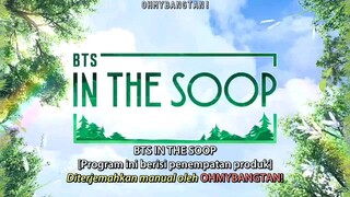 bts in the soop episode 5(sub indo)