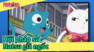 [Hội pháp sư] Natsu giả ngốc