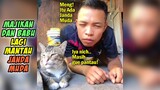 Lucu Banget!! Kucing dan Majikann Sama-Sama Hobi Liatin Janda Lewat! Video Kucing Lucu Bikin Ngakak