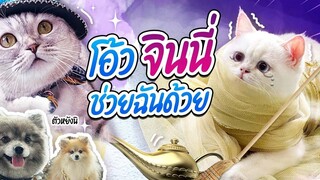 โอ้วจินนี่จ๋าช่วยข้าด้วย! 🥺 l Captain Quints Family