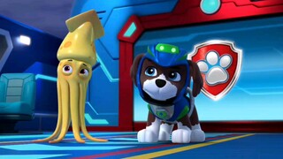 #pawpatrol