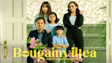 Bougainvillea (E1) 🌺