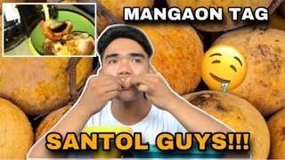 MANGAON TAG SANTOL ( COTTON FRUIT) GUYS | PREMITIVE AKO FOR TODAY'S BEDYOOOW!!!