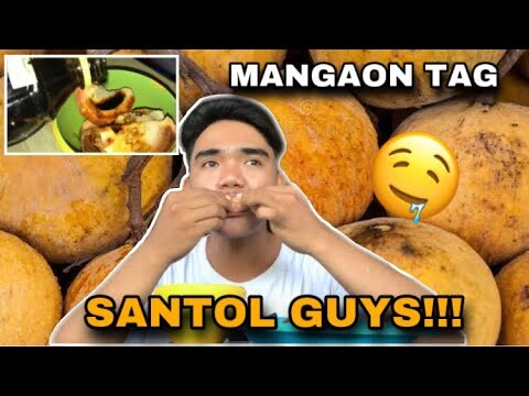 MANGAON TAG SANTOL ( COTTON FRUIT) GUYS | PREMITIVE AKO FOR TODAY'S BEDYOOOW!!!