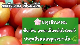 มะเขือเทศ เป็นผลไม้บำรุงผิวพรรณ ป้องกันสมองเสื่อมบำรุงสายตาลดเชื้อราในช่องปากTomato tomato benefits