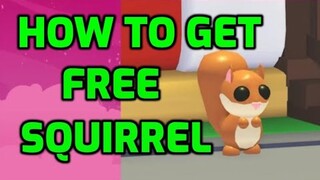 HOW TO GET *FREE* SQUIRREL PET - ADOPT ME NEW TOY SHOP AND NEW TOYS UPDATE (HOW TO WIN SQUIRREL PET)