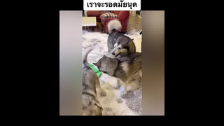 แม่อย่าวีนพ่อยังไม่ว่าอะไรพวกเราเลย 😅