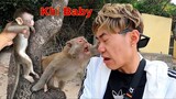 Dương KC | Đi Lên Đảo Thăm Khỉ Baby | Bị Đàn Khỉ Cướp Sạch Đồ !