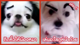 เล่นอะไรเนี้ยนุด ดูหน้าบื้ดด้วย !! ( รวมฮาพากย์ไทย )