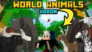 Addon WORLD ANIMALS yang wajib kalian cobain di MINECRAFT mcpe