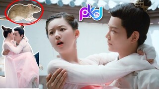 BINATANG Ini Membuat Zhao Lusi Loncat!😂 POV Suaminya yang Malah Senang 😂 Chinese Drama Kiss Scene