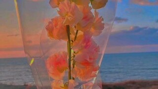 Hi friends...!
