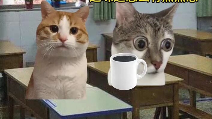 Dù cô ấy lừa dối tôi nhưng tôi vẫn yêu cô ấy