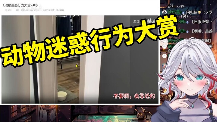 日本天然小姐姐看《动物迷惑行为240》