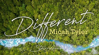 Different - Micah Tyler [With Lyrics]