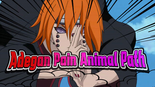 Adegan Pain Animal Path