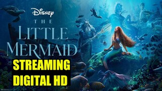 THE LITTLE MERMAID 2023 - Info Film Live Action Fantasy Terbaru 2023