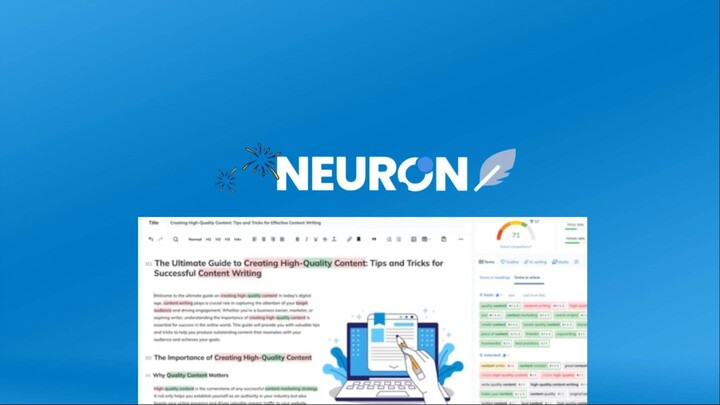 NeuronWriter Demo