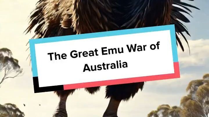 The Great Emu War of Australia