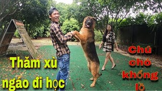 Săn Bắt Ẩm Thực Vùng Cao Và Vợ Thăm Đứa Con Cưng, Những Chú Chó Thông Minh Nhất Thế Giới