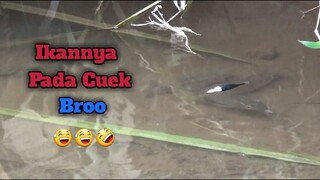 Mancing Kali Ini Dicuekin Sama Ikan Broo.. Bikin Gregetan 😅😅