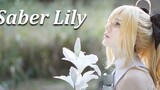 SABER LILY FGO คอสเพลย์ภาพยนตร์ / เซเบอร์ลิลลี่ / LUMIX S5